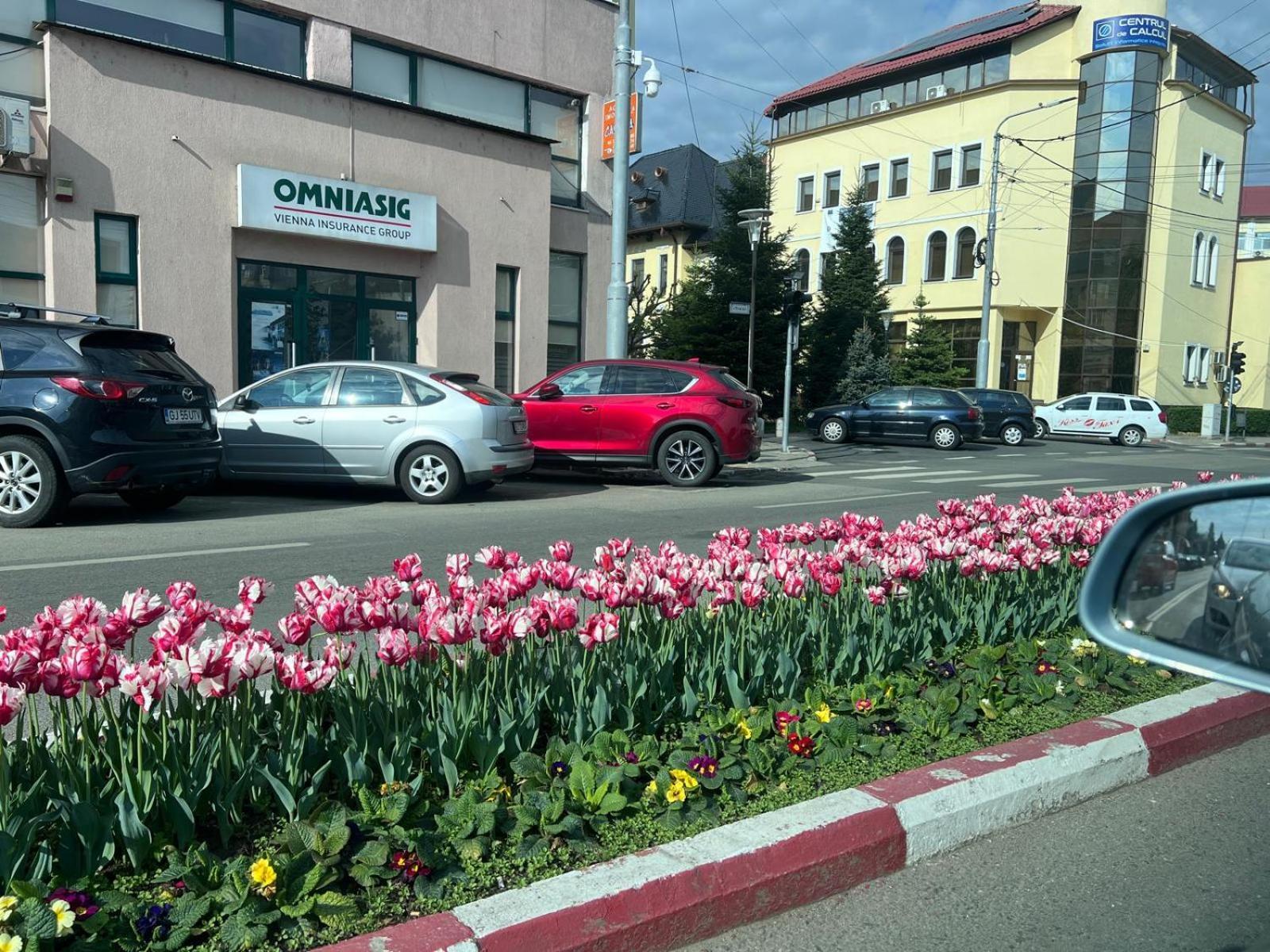 Central-Home Târgu Jiu エクステリア 写真